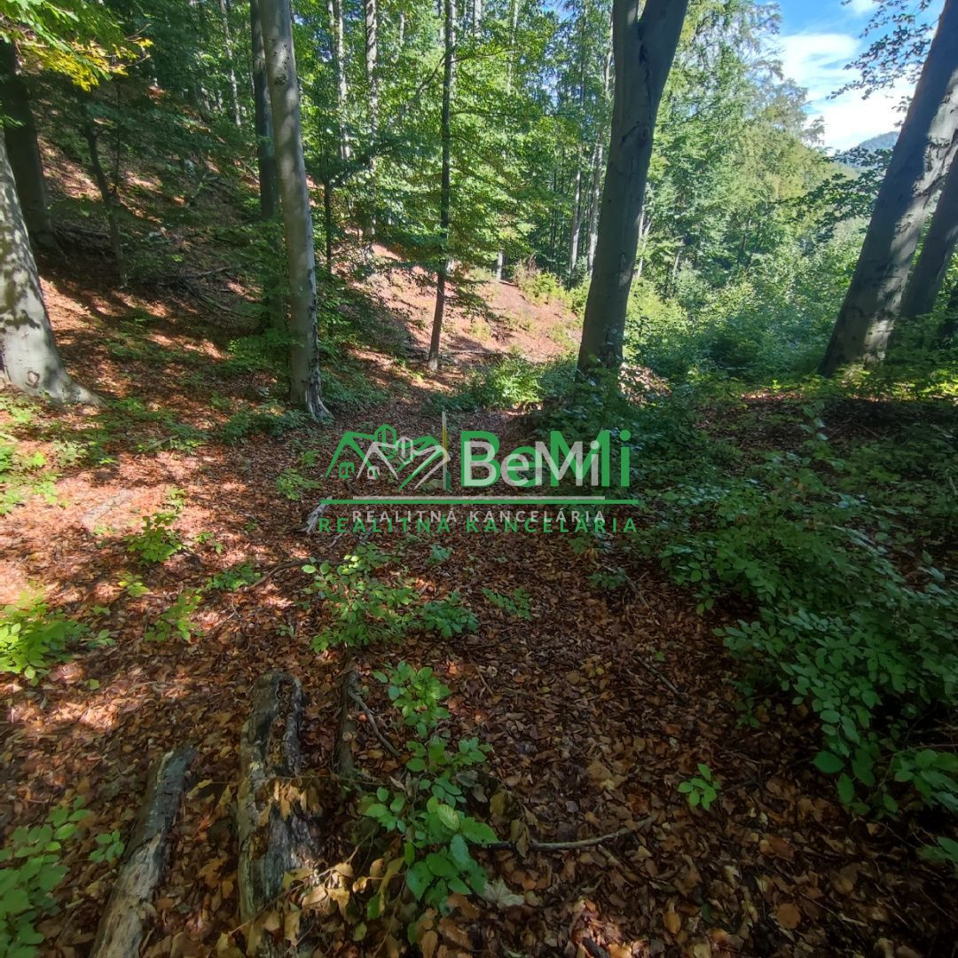 Rekreačný pozemok v Tajove na predaj ID: 015-14-STKa - 7