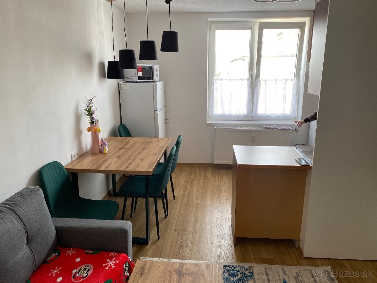 Prenajom 1,5 izbovy byt J.Husa - 7