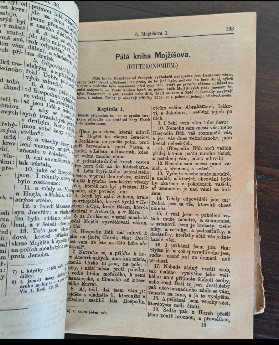 Biblie Česká 1889 - 7