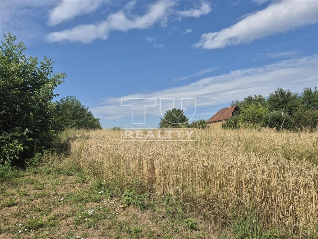 Exkluzívne na predaj vidiecky dom v Hosťovciach, pozemok... - 7