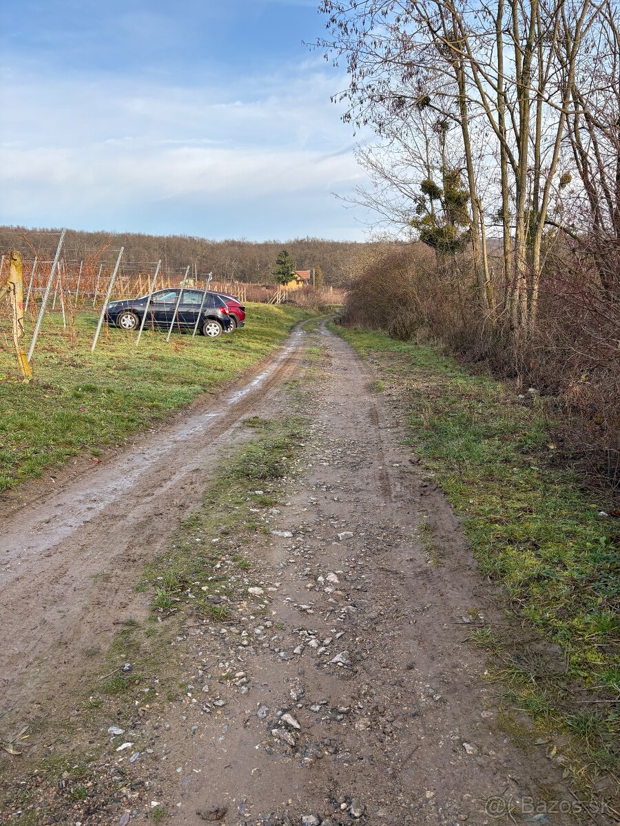 VINICE, TOKAJ- VINIČKY - 7