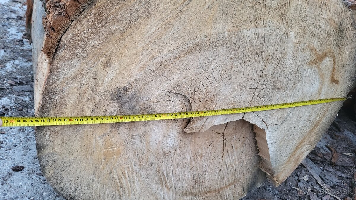 Lipove drevo kmene - 7