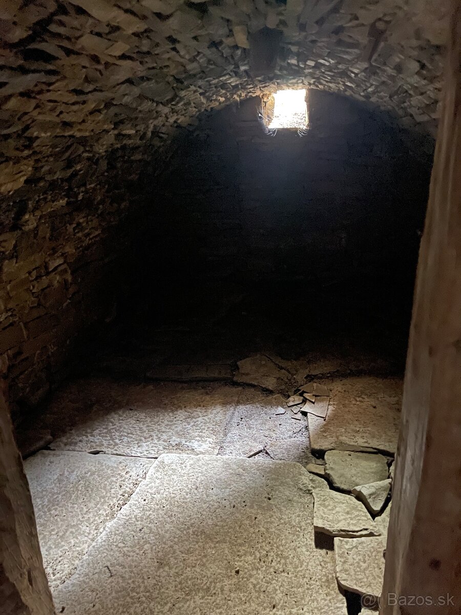 Drevenica s pozemkom - 7