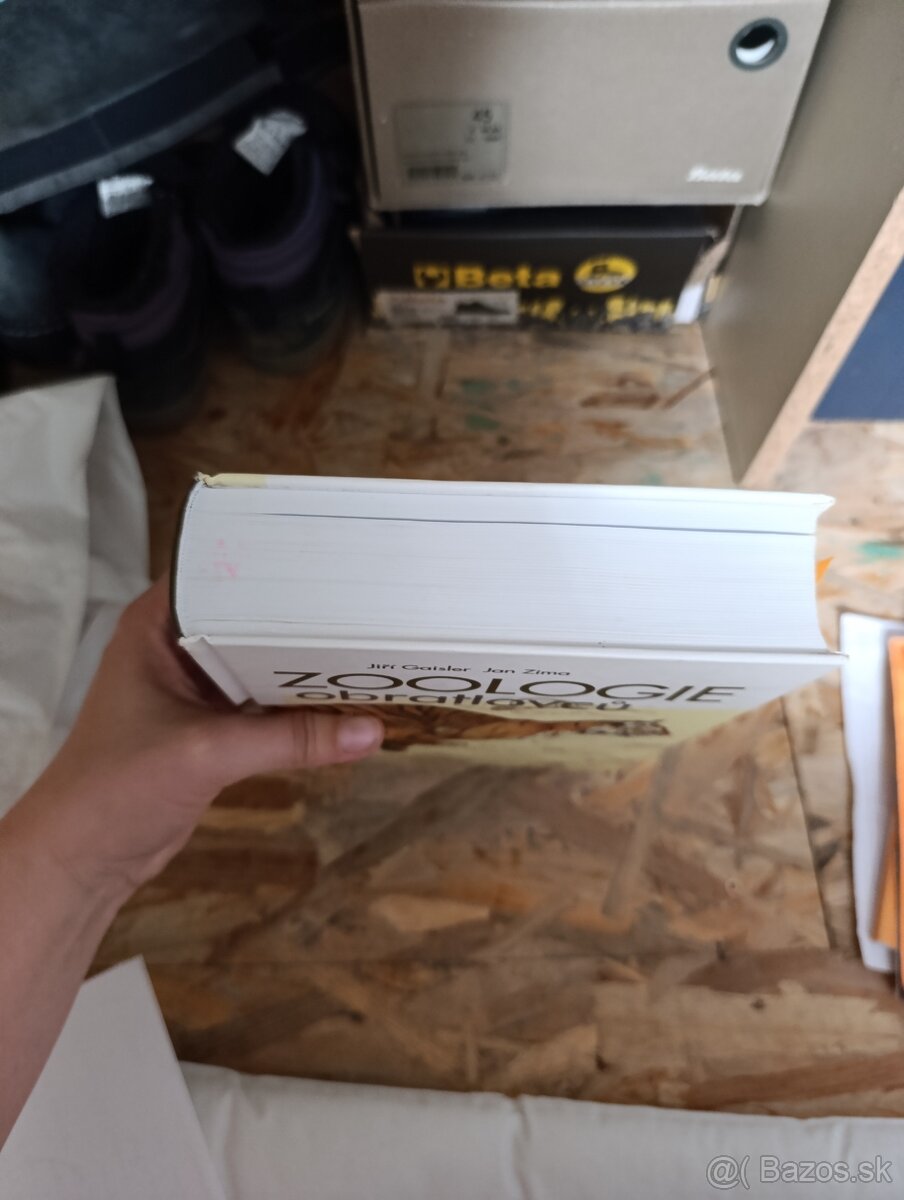 Zoológie obratlovcu - 7