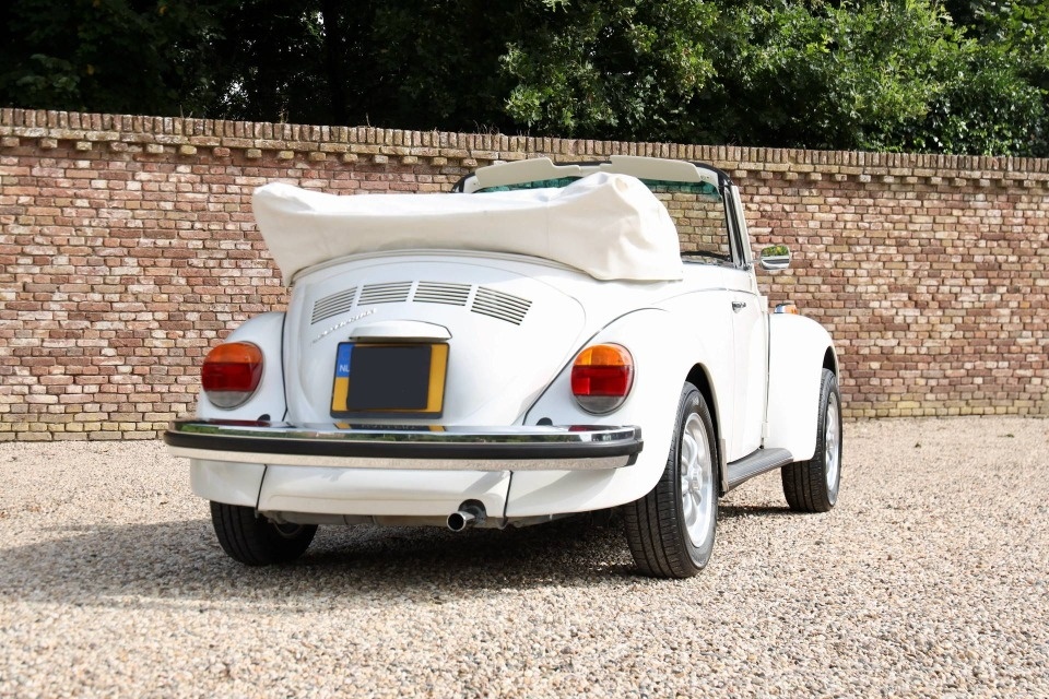 Volkswagen Beetle - 7