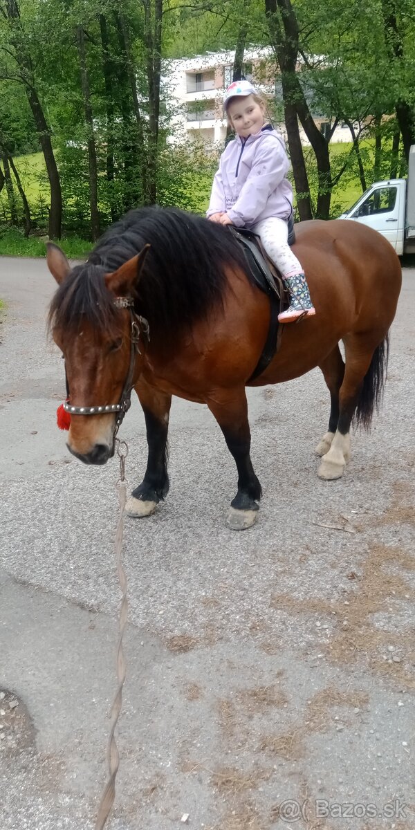 Predám ťažnu kobylu - 7