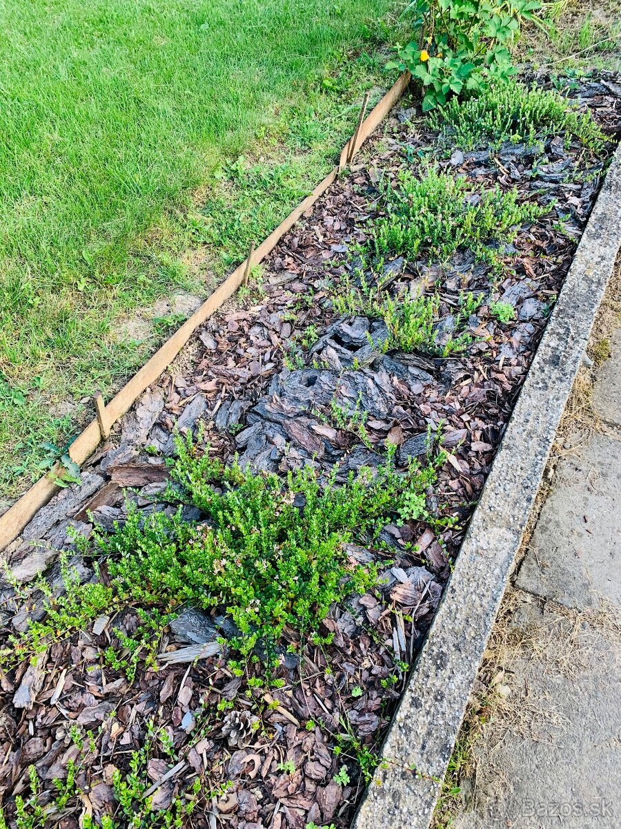 Záhradná chatka - 7