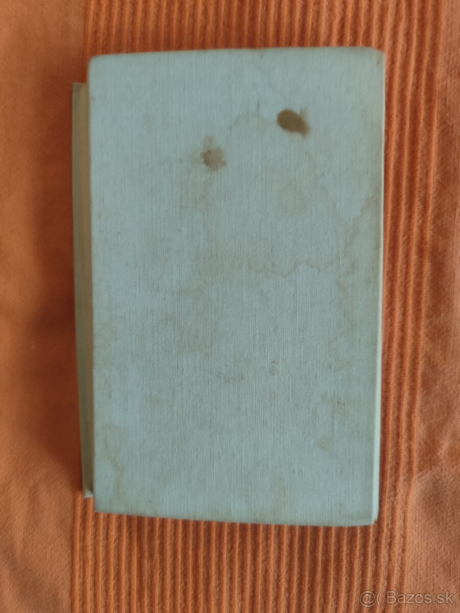 Nekonečná noc - Agatha Christie - 7