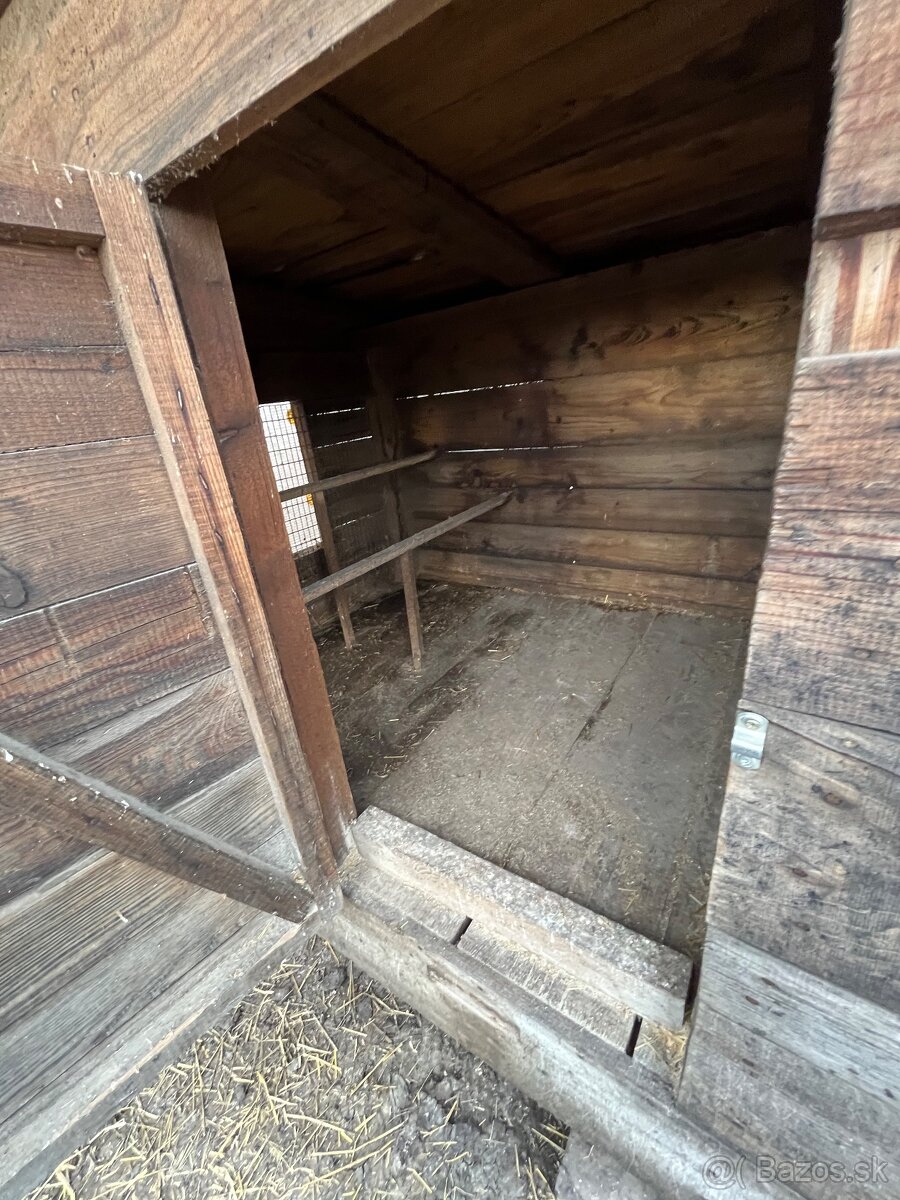 Kurín pre sliepky - 7