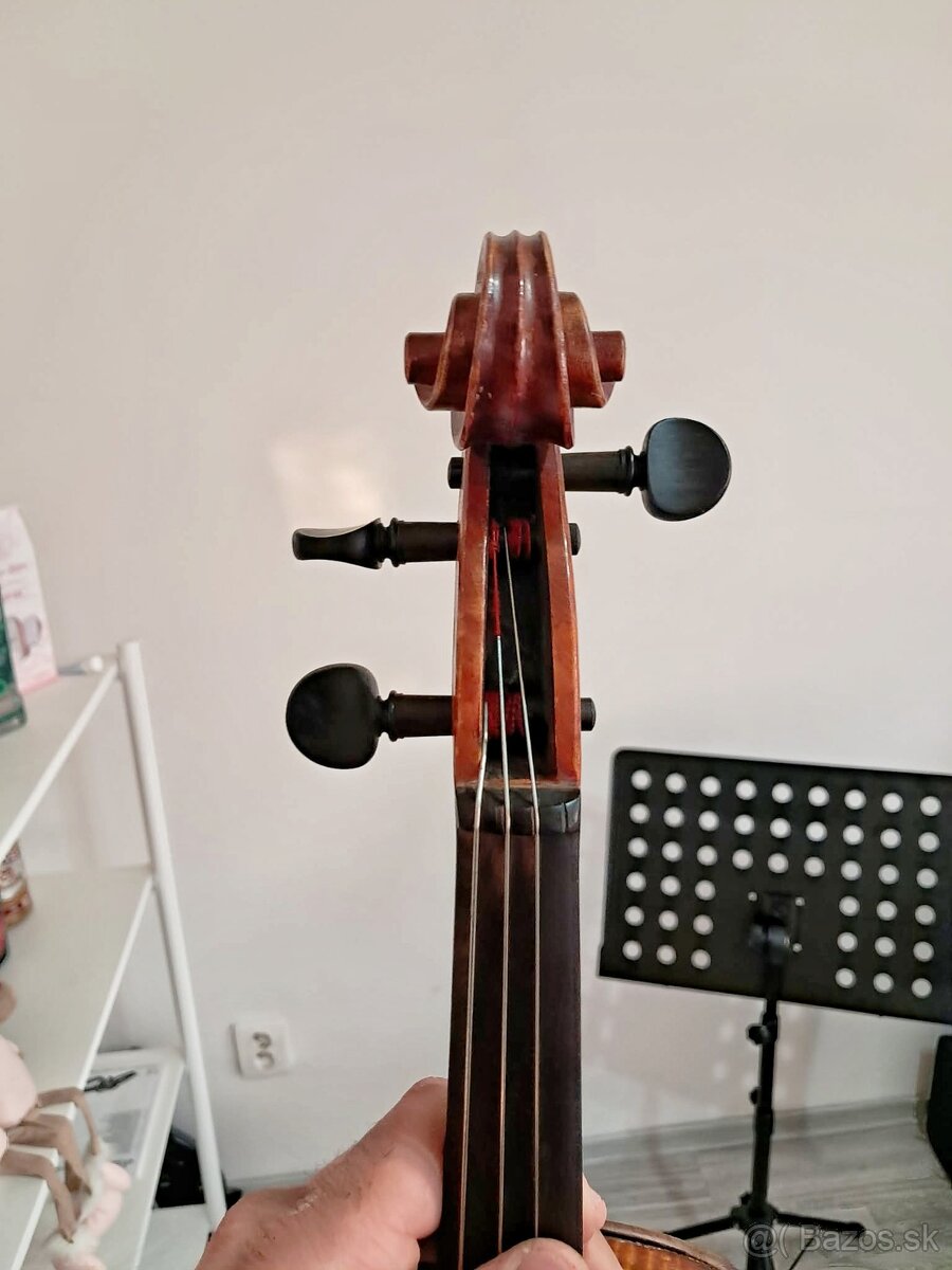 Viola - 7