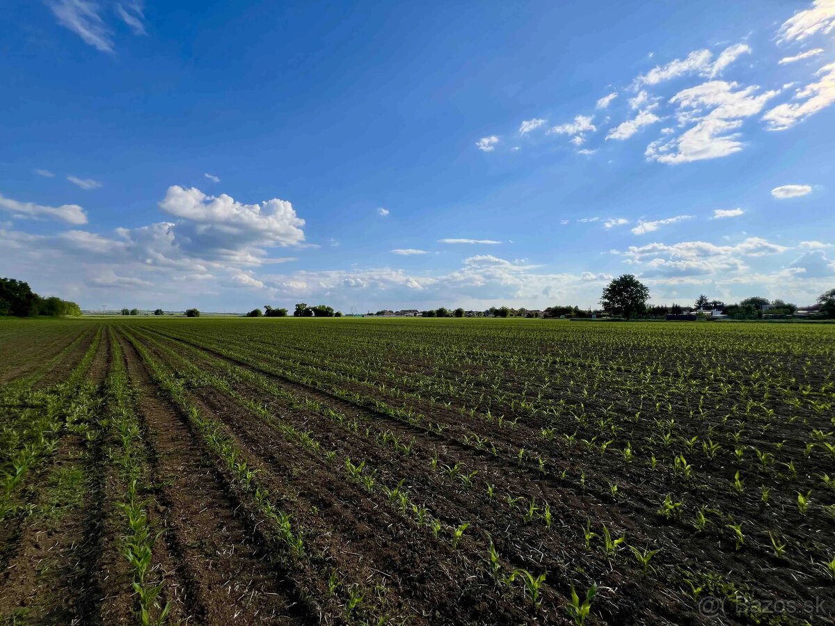 Vráble - 1421 m2 STAVEBNÝ pozemok - 7