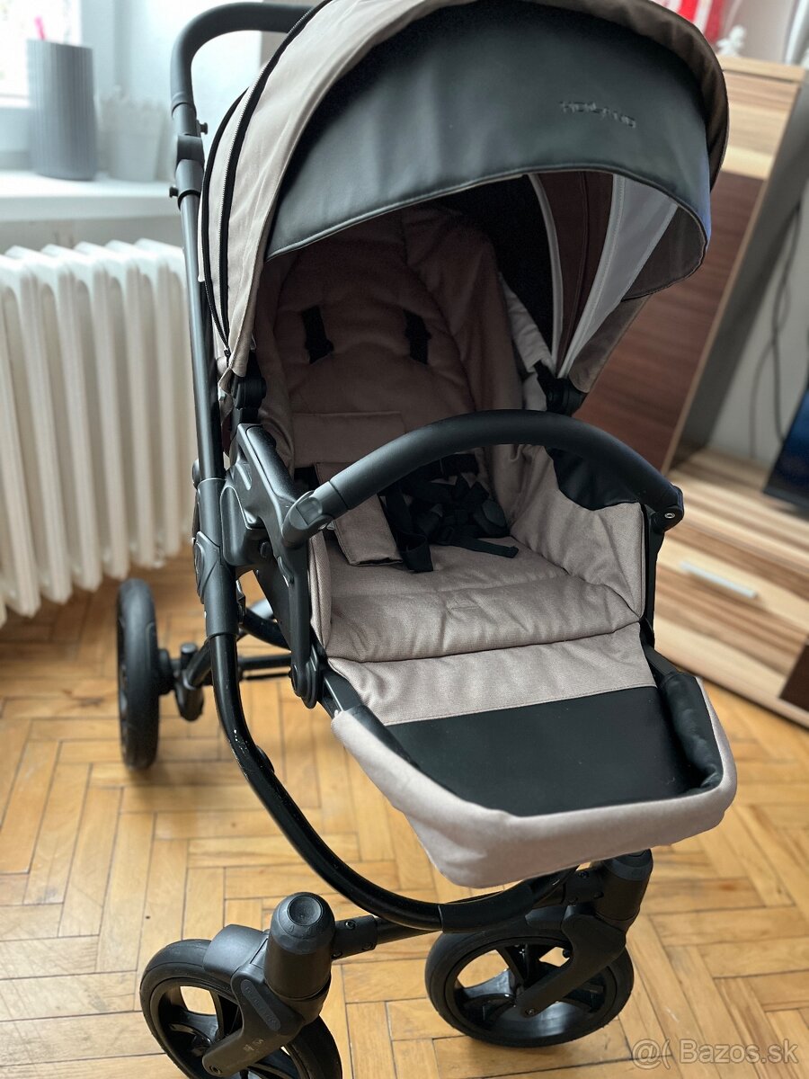 Kočik Bebetto Holland - 7