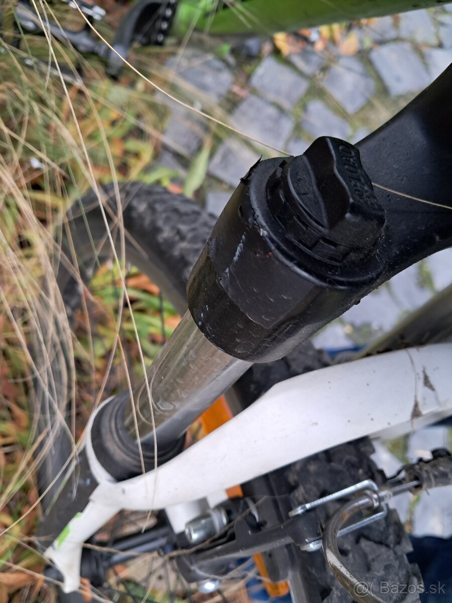 Scott Scale jr 24 - 7