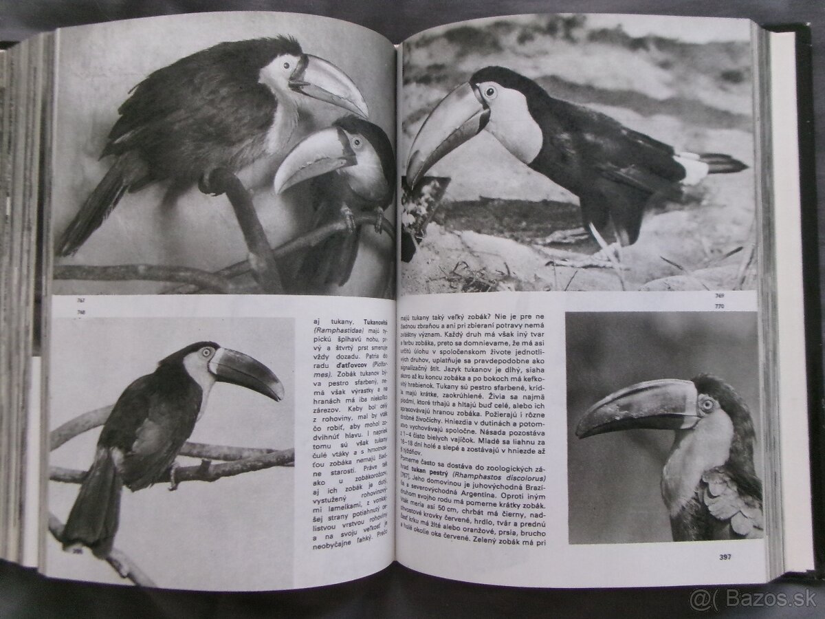 Veľký obrazový atlas vtákov - Jan Hanzák. - 7
