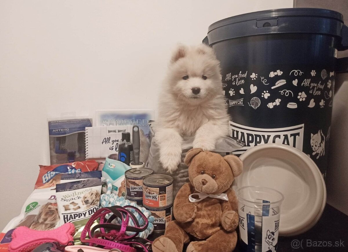 SAMOJED ŠTENIATKA S RODOKMEŇOM - 7