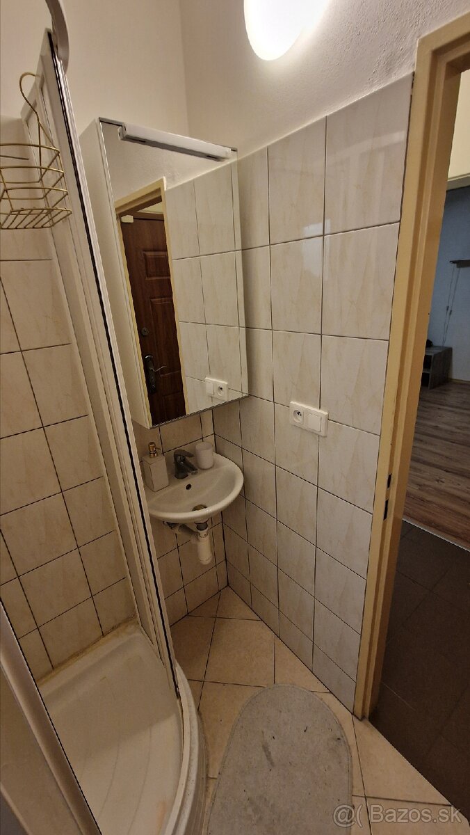 Prenájom 1izbového bytu - 7