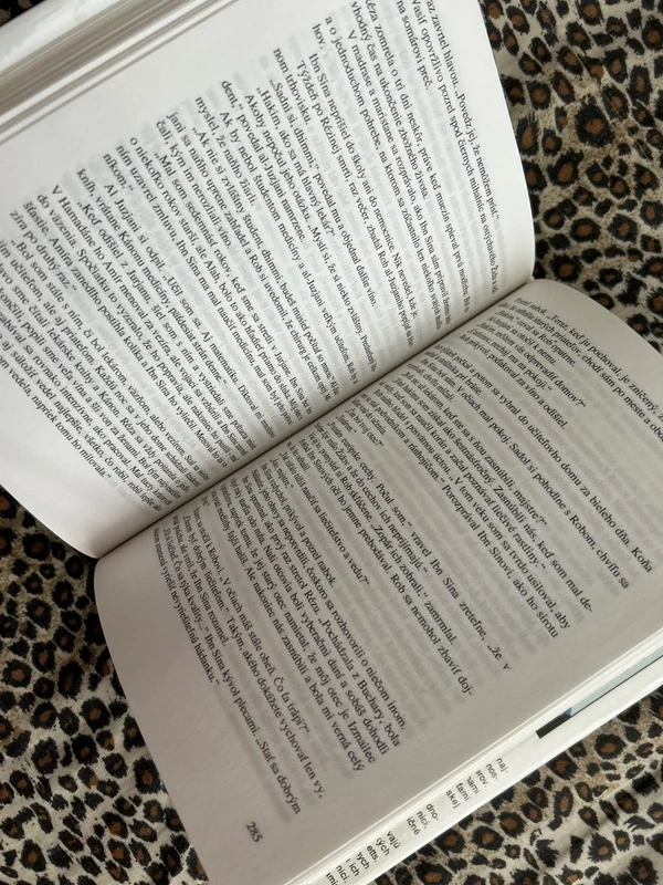 Liečiteľ - Noah Gordon - 7