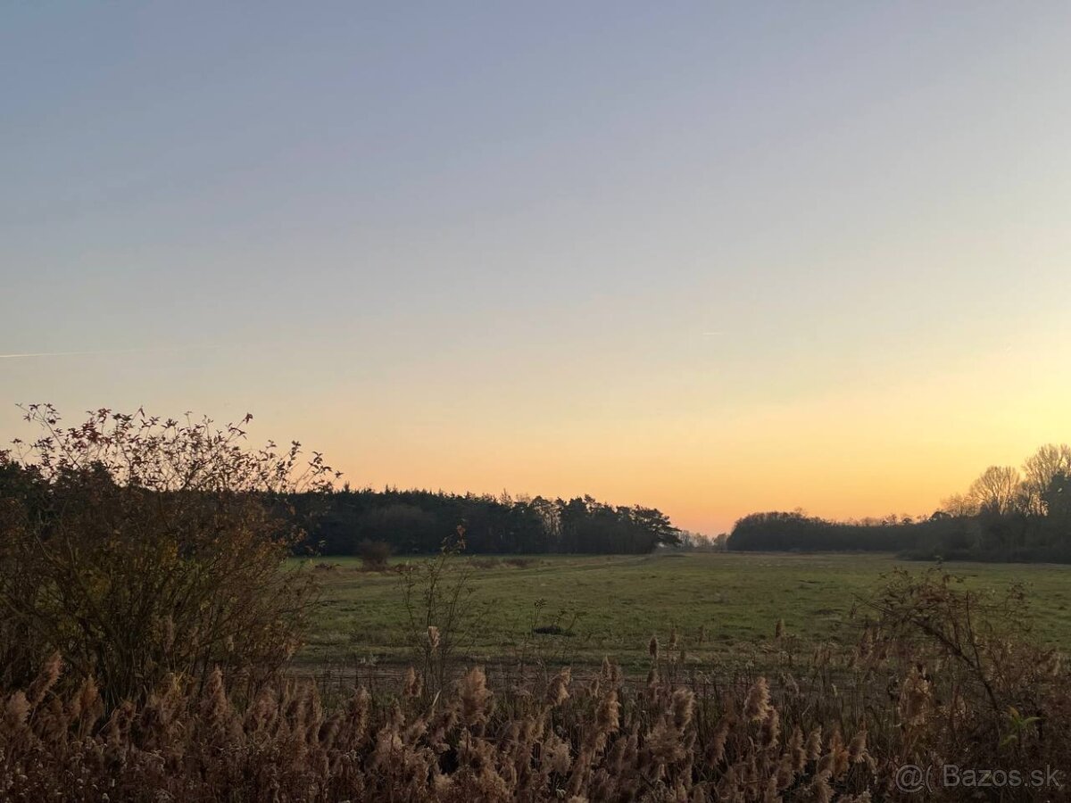 Veľký Pozemok 45 172 m² pri Malých Levároch - 7