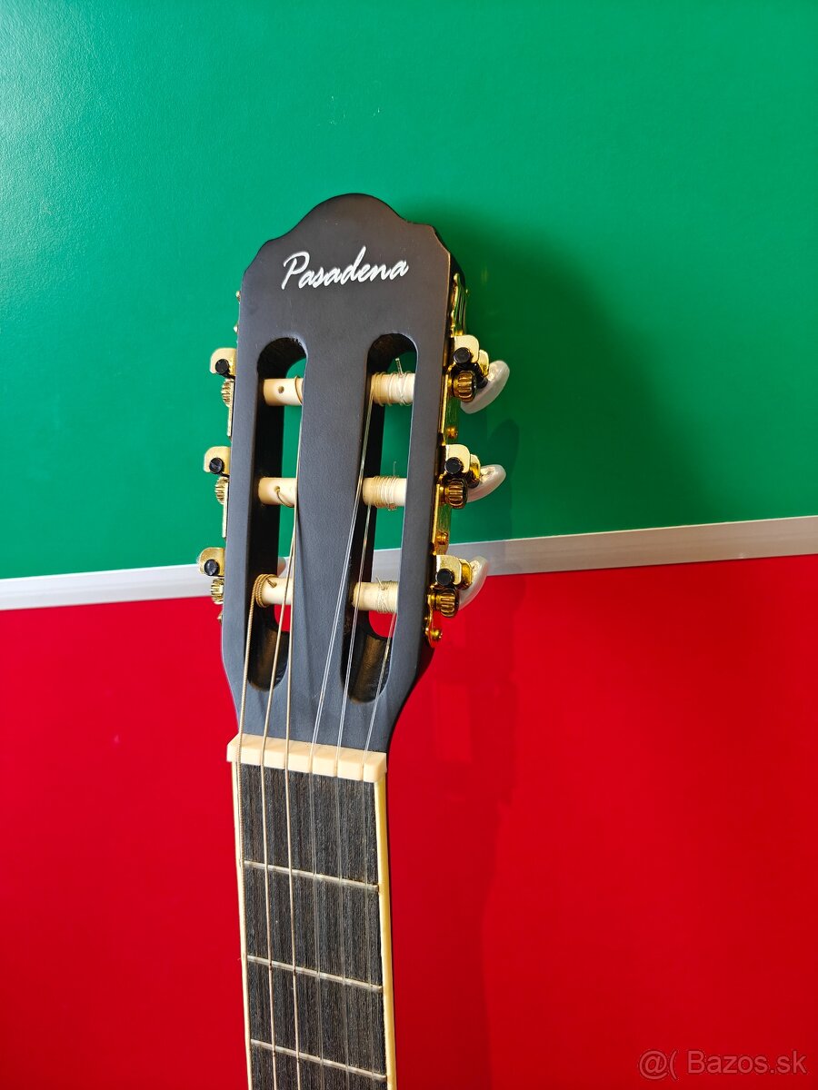 Čierna gitara, Pasadena + príslušenstvo - 7