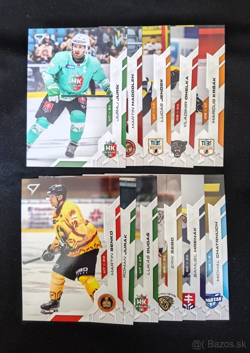 Hokej SHL / Tipsport Extraliga - 7