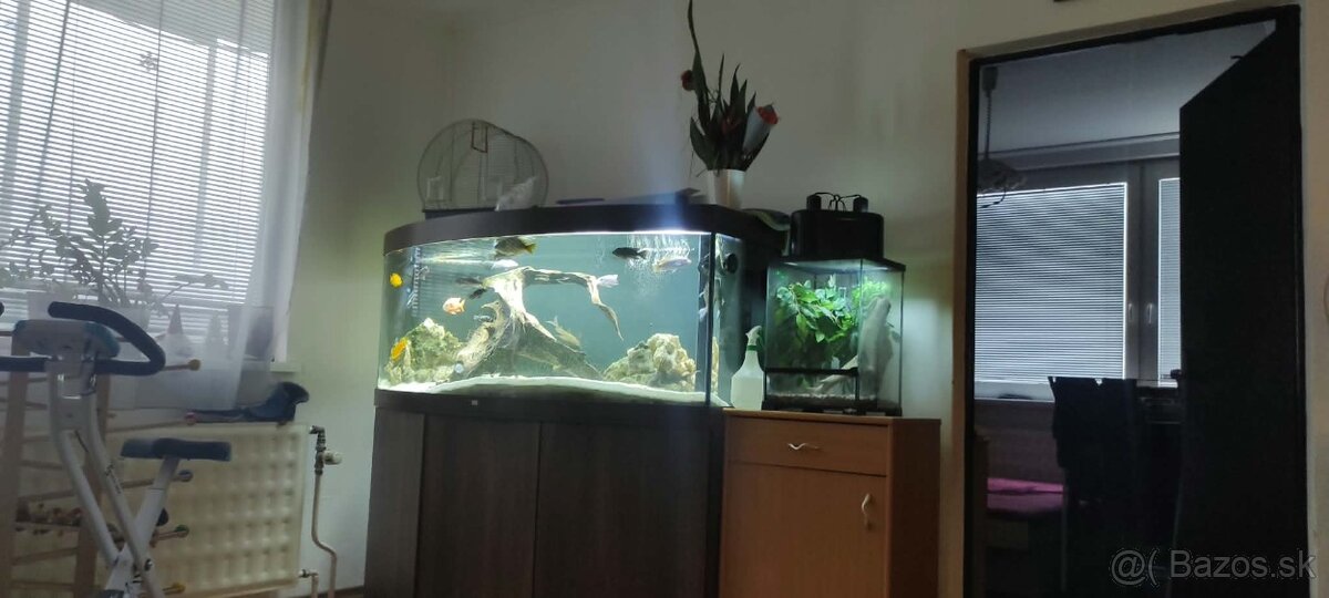 Akvarium - 7