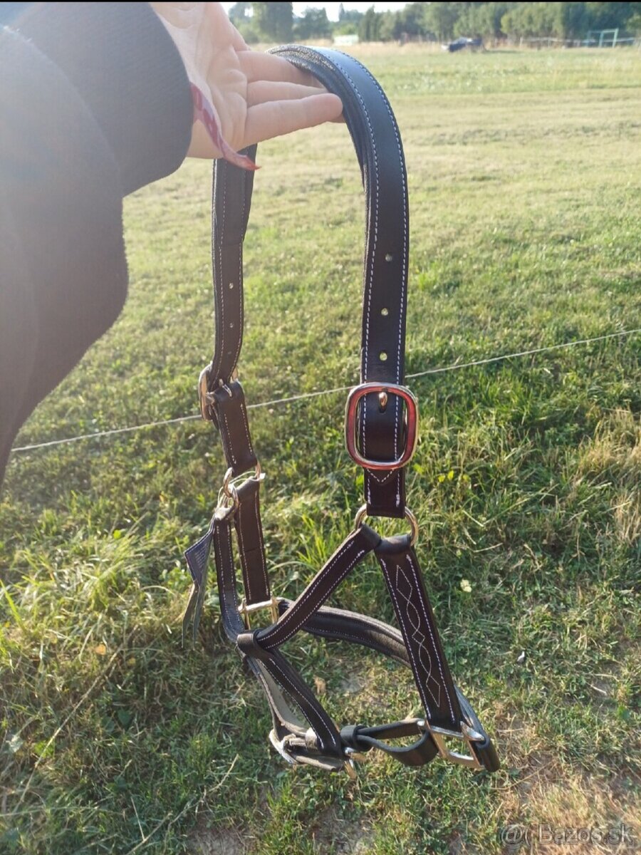 Kentaur, Equiline, F.R.A... - 7