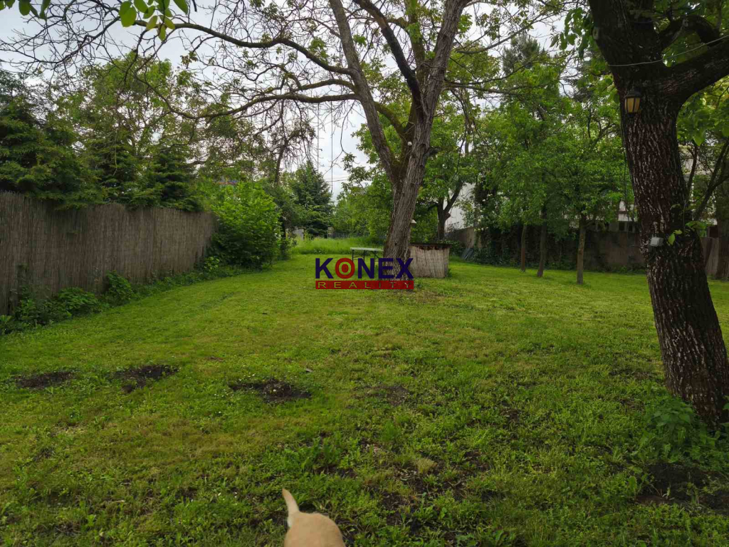 RODINNÝ DOM na rekonštrukciu v meste SOBRANCE - 7