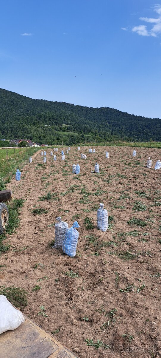 Zemiaky konzumné Spišské Vlachy - 7