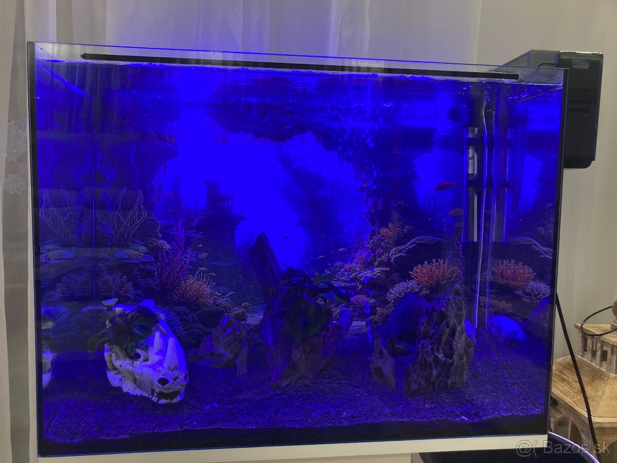 Zariadené akvárium 75l - 7