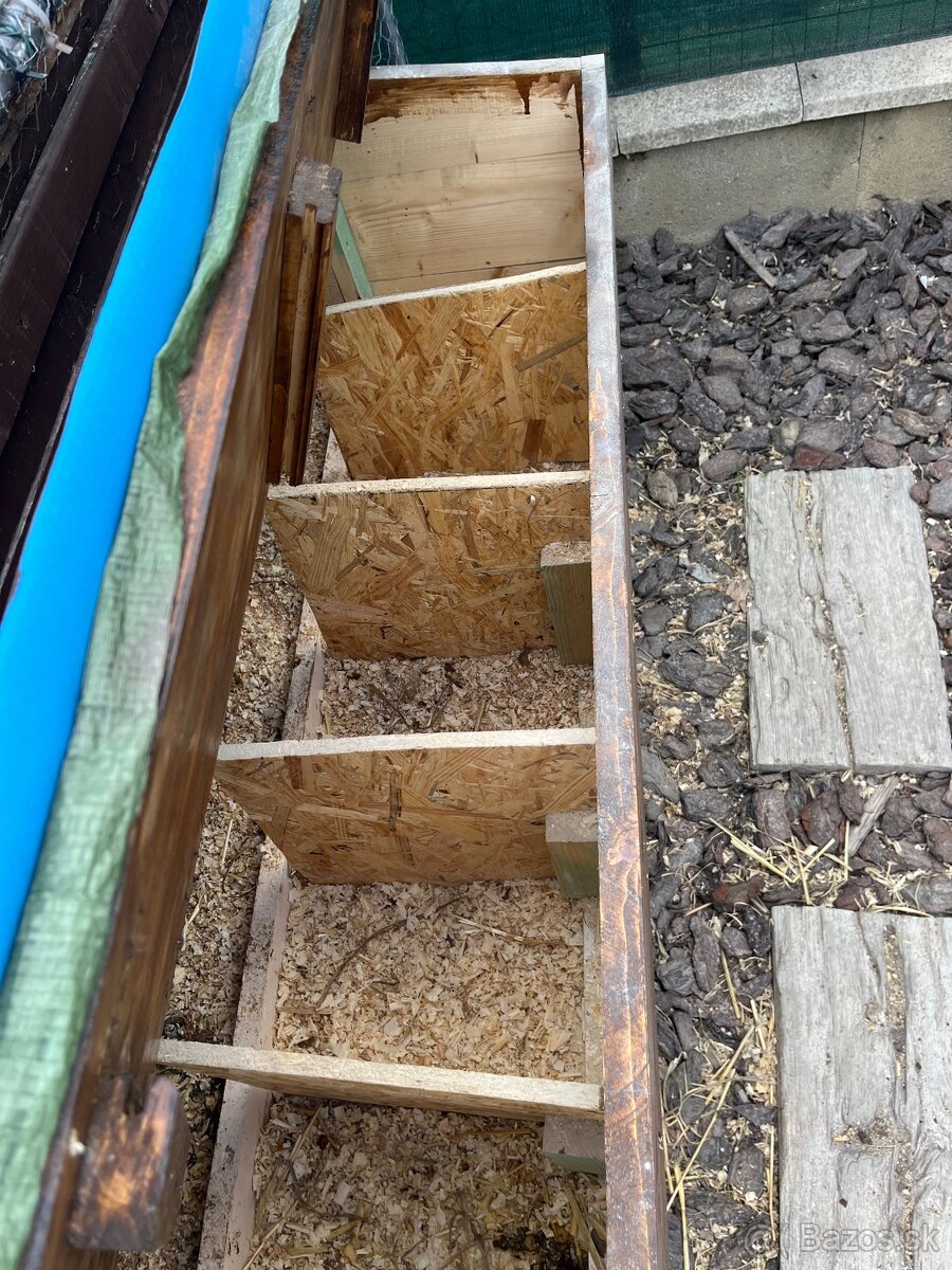 predam sliepky brown nick - 7