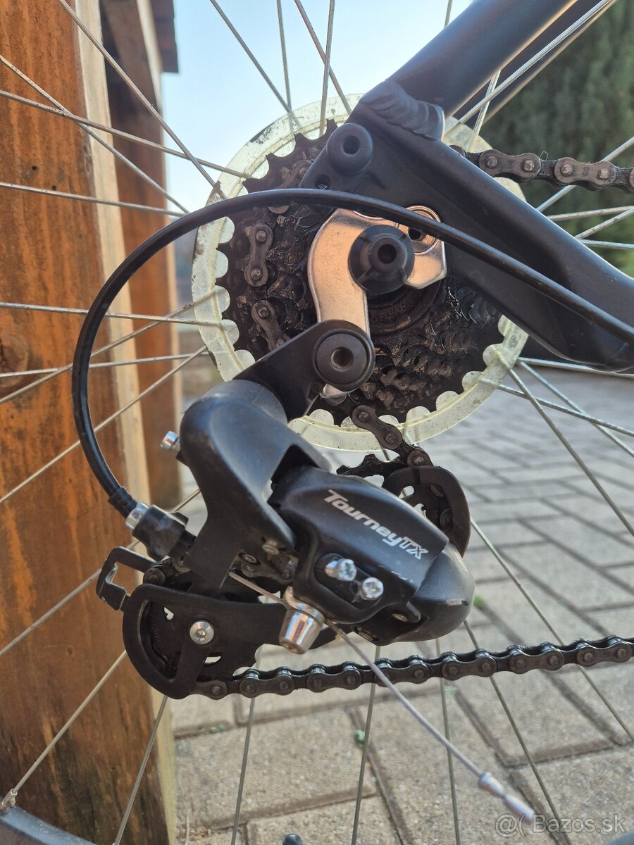 Predam CTM Charisma - 7