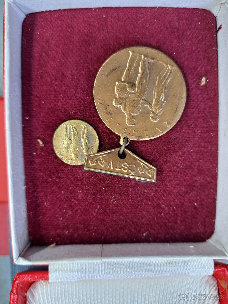 Pametné medaile, odznaky atd - 7