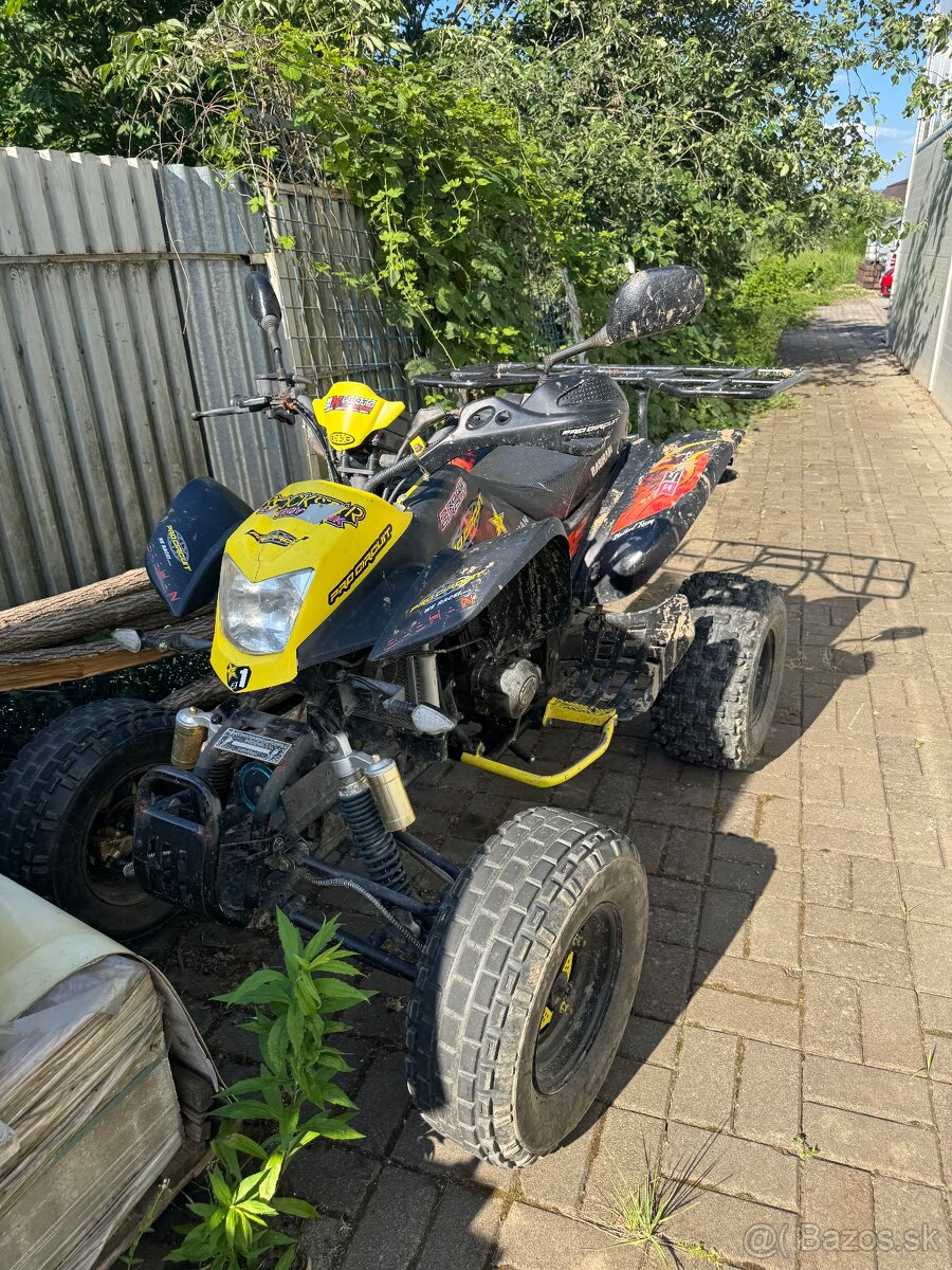 Bashan 250 - 7