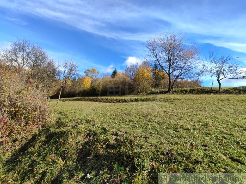 Dva pozemky nad obcou Hlboké nad Váhom, v lone nádhernej p - 7