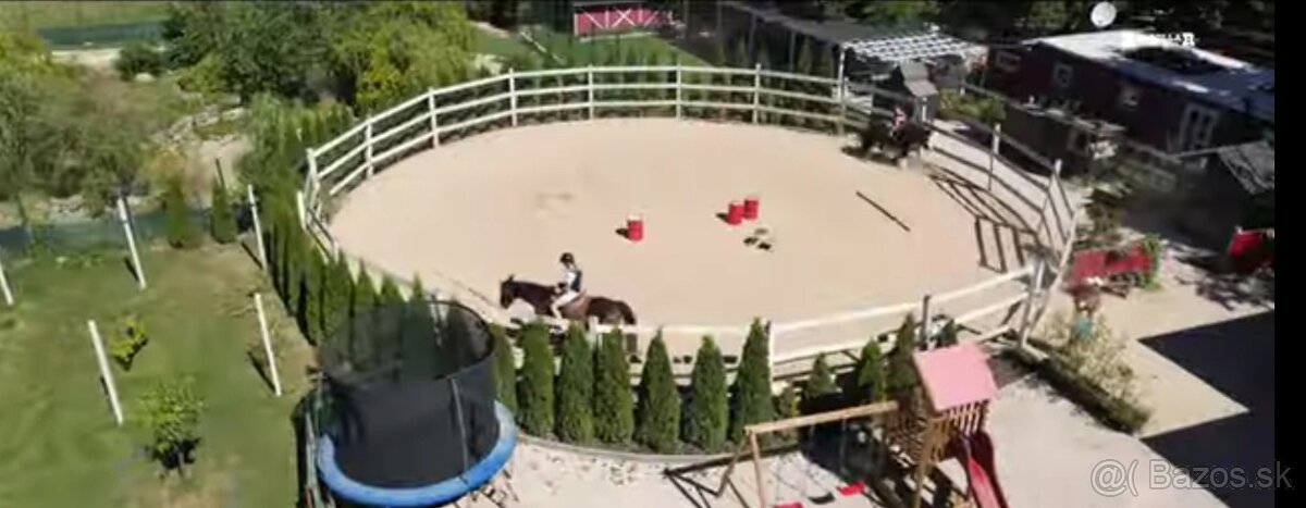 Ustajnenie koní. - 7