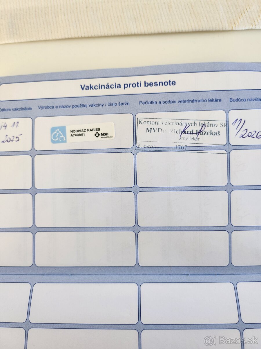 Nemecký Ovčiak - 7