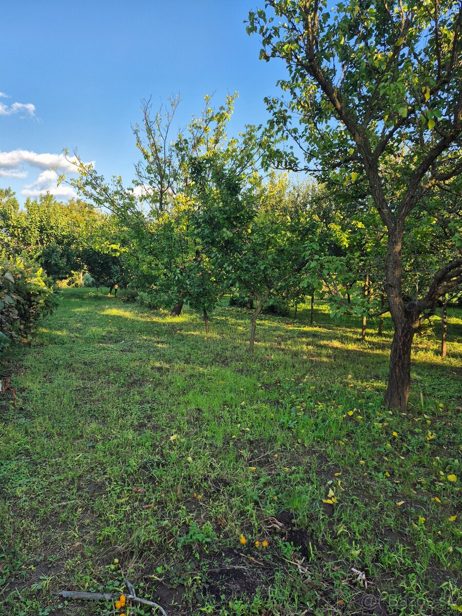 Vidiecky dom s výnimočnou záhradou v obci Méra - 7