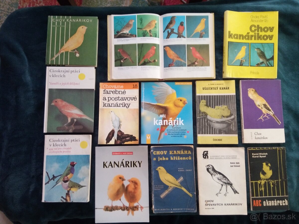 Predám knihy o kanárikoch - 7