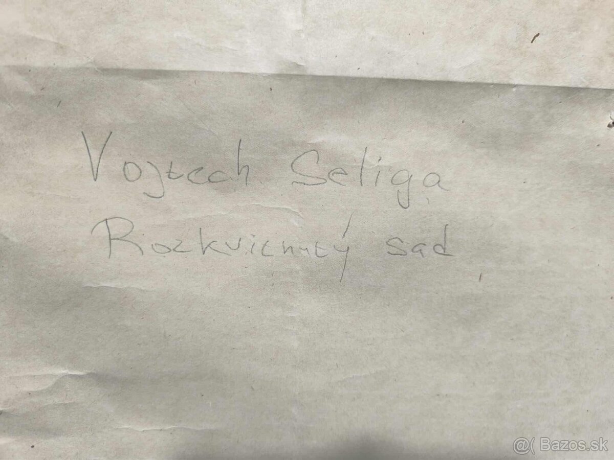 Vojtech Seliga - olejomaľba - 7