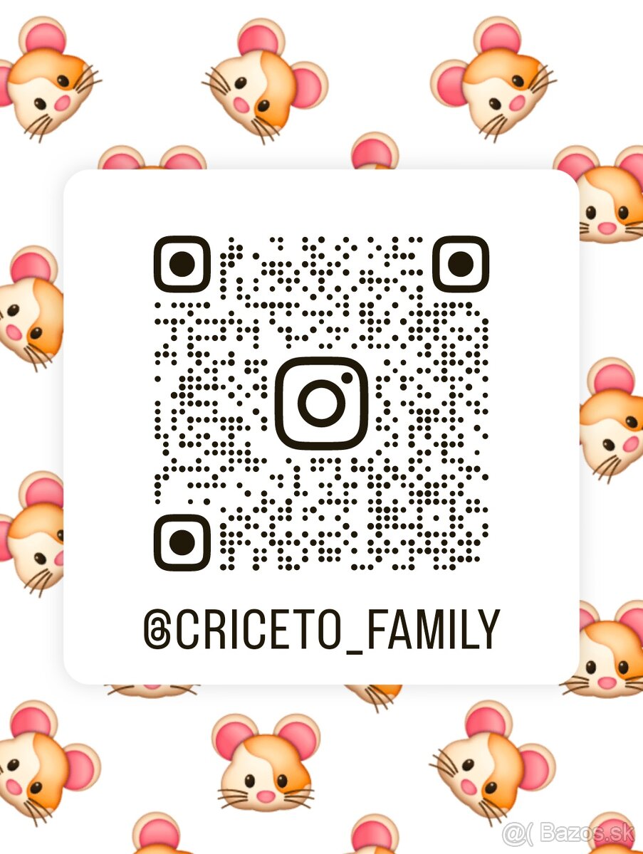 Darujeme nádherné mláďatá sýrskych škrečkov - 7