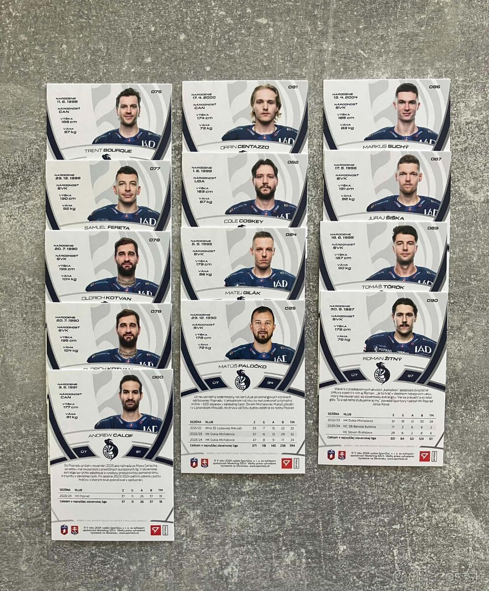 Hokejové kartičky TIPOS EXTRALIGA 2024/2025 base - 7