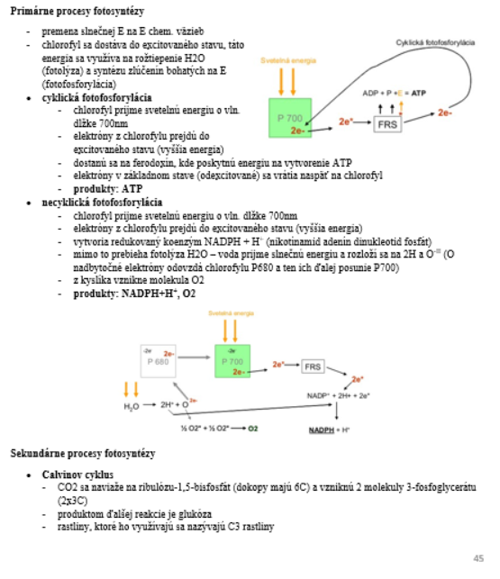 Poznámky na maturitu z biológie/prípravu na VŠ - 7