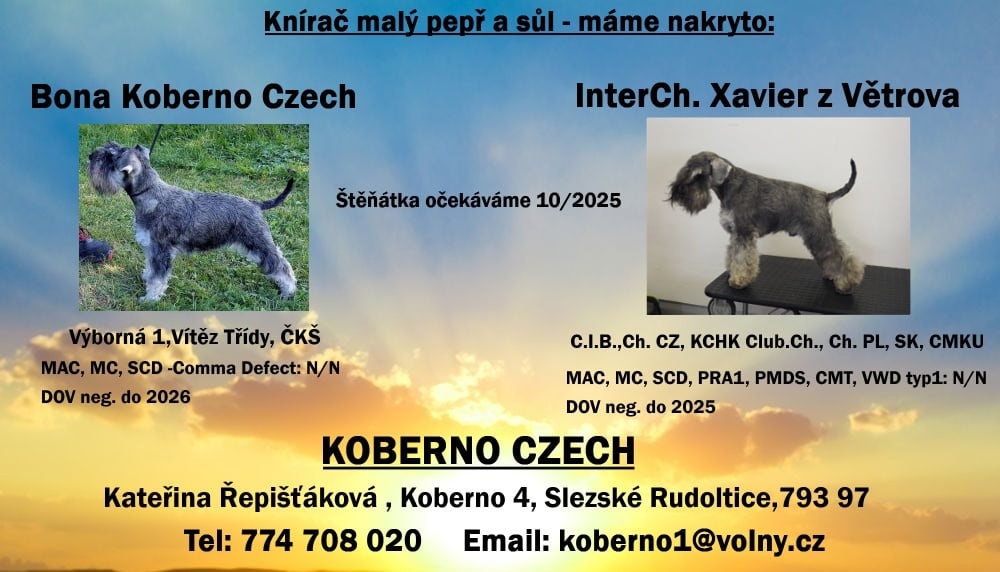 Bradáč malý korenie a sol - 7