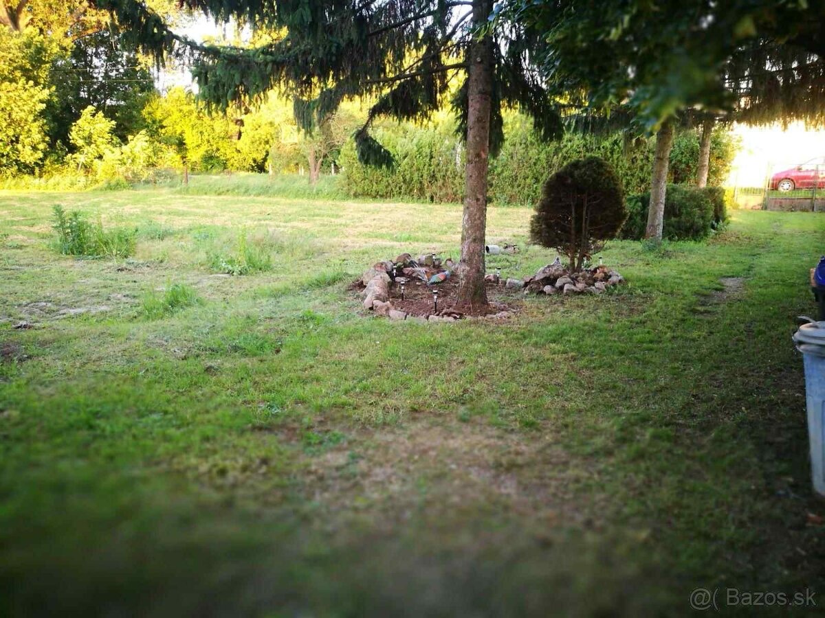 Dom s pozemkom 1570 m2, Štefanovičová, Nitra - 7