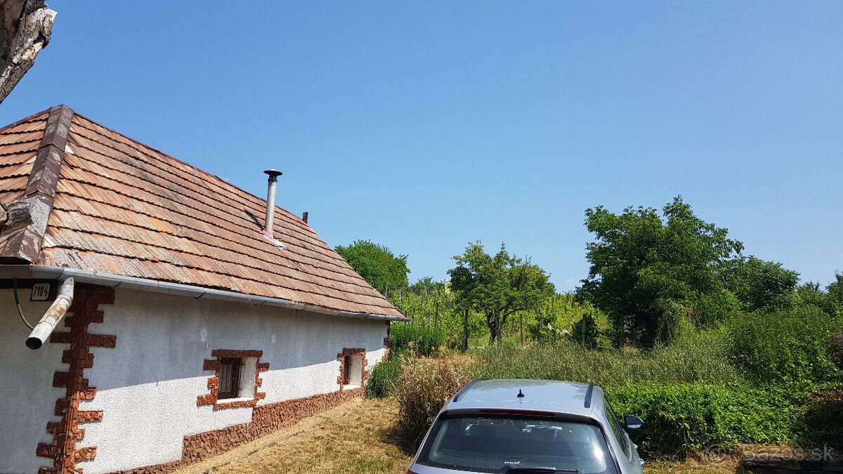 Predám dva vinohradnícke domy s pozemkami medzi vinohradmi p - 7