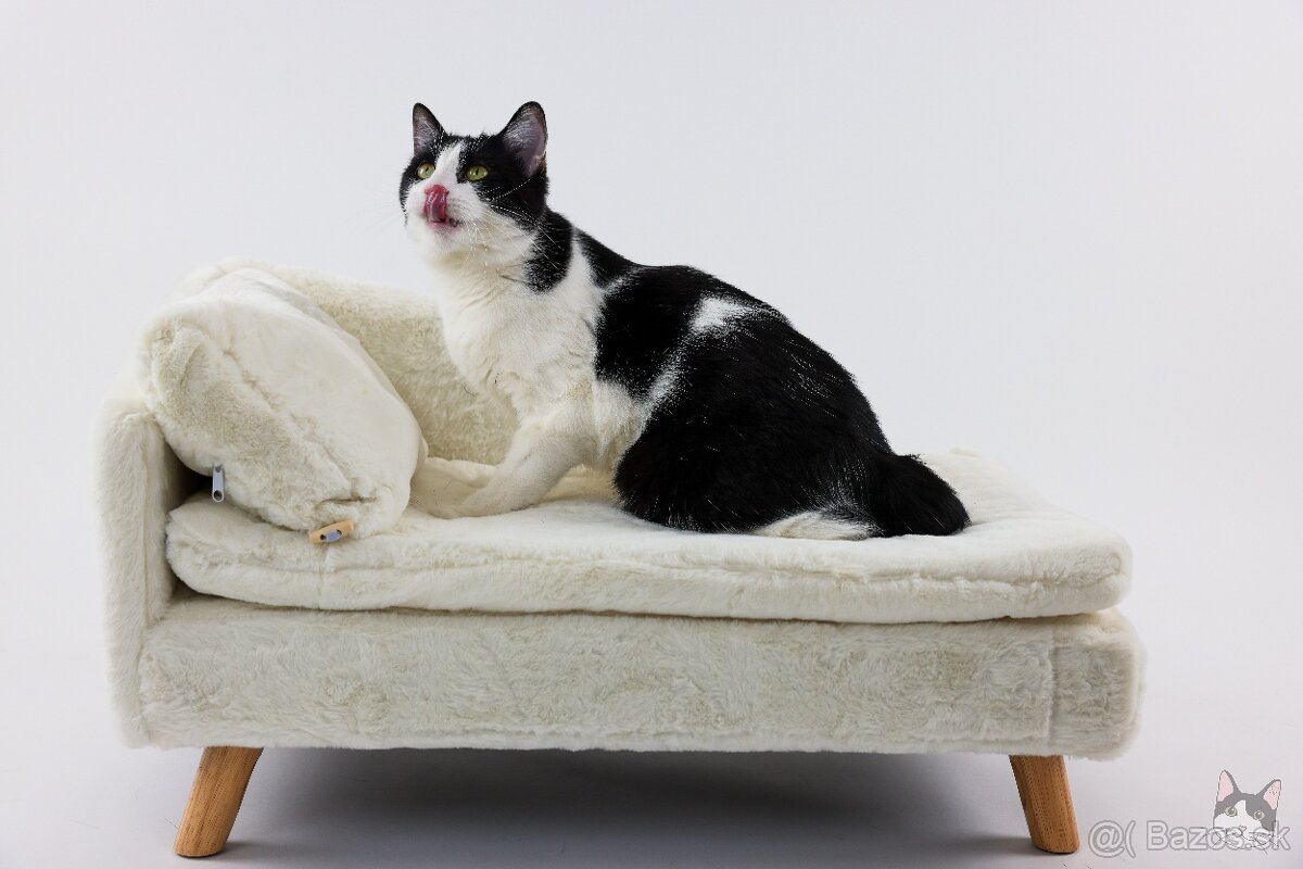 INKY hľadá domov - 7