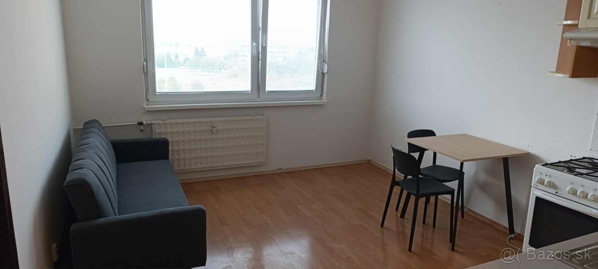 1 izbovy byt na prenajom - 7
