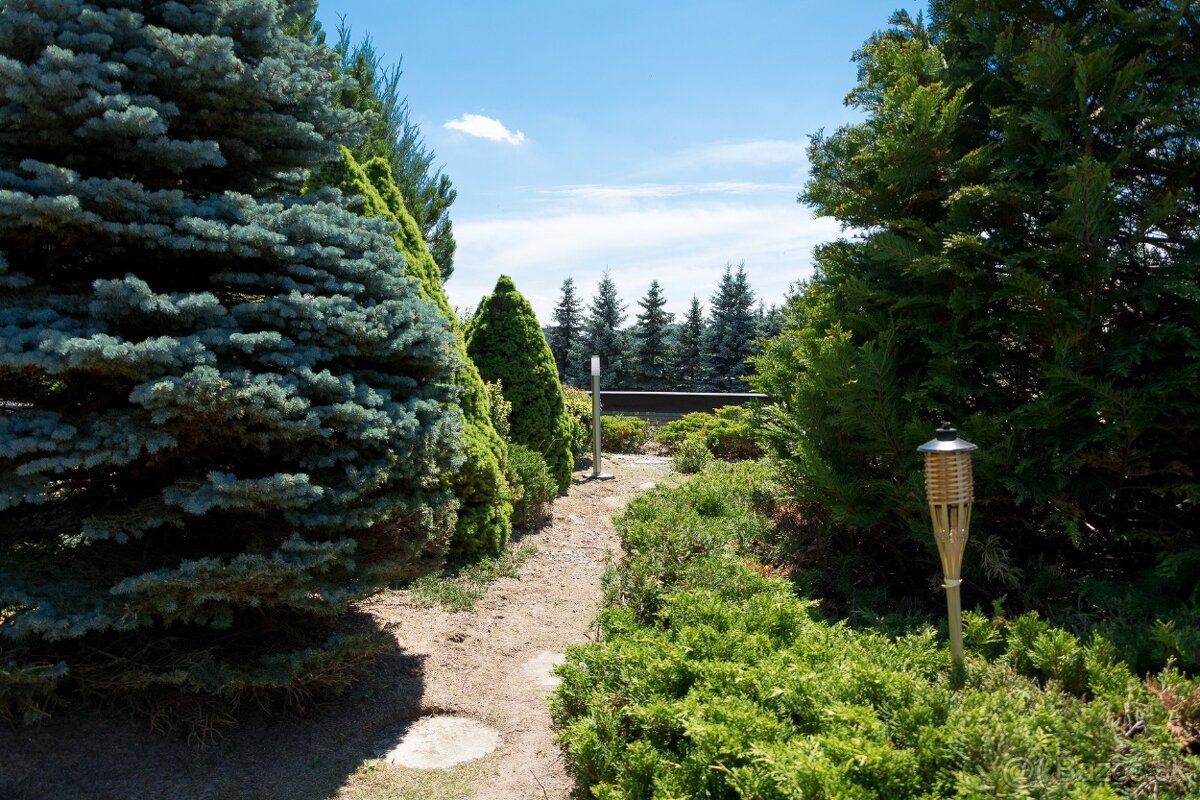 ✨Na prenájom priestory na svadby, oslavy a firemné akcie ✨ - 7