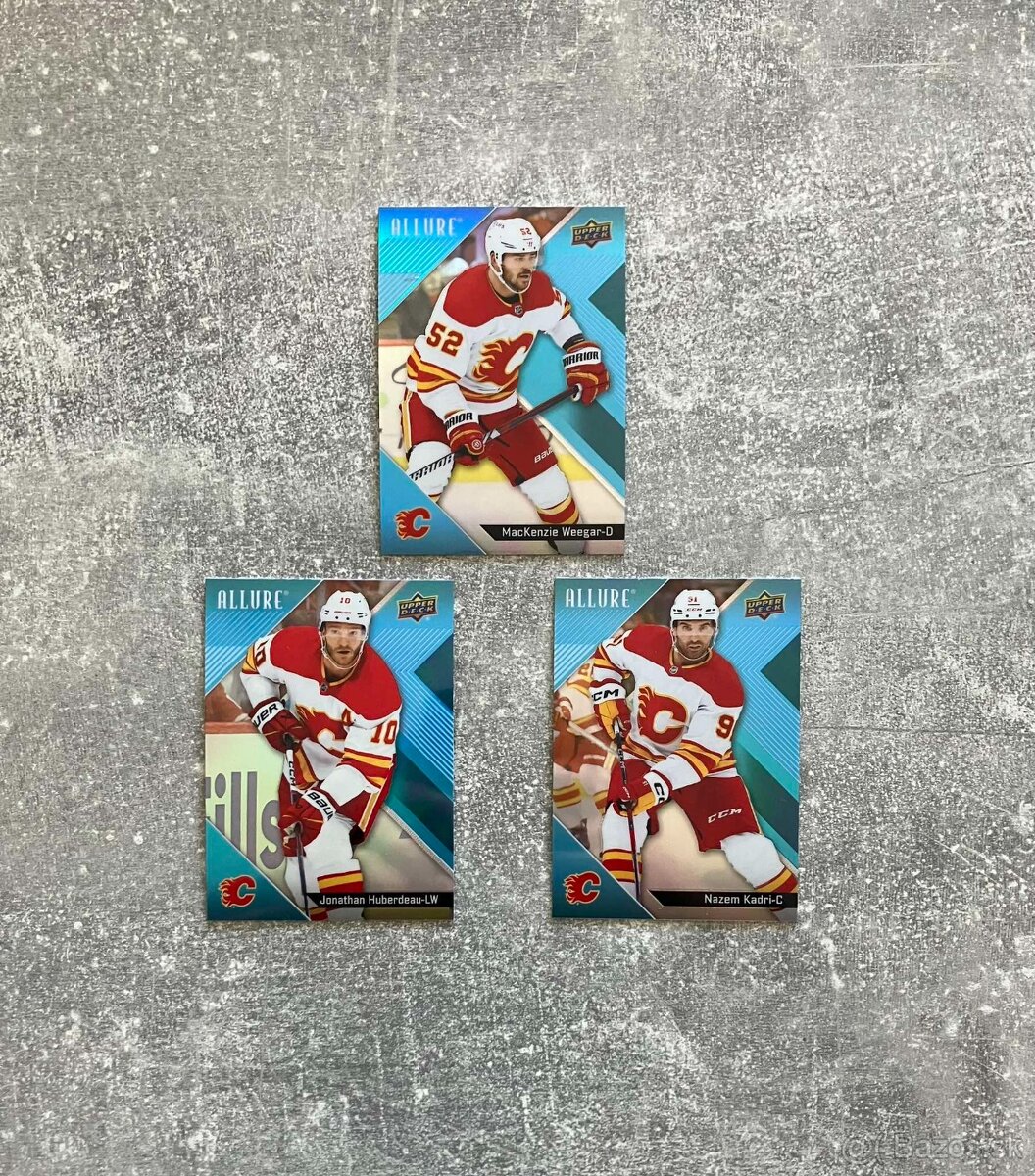 Hokejové kartičky mix NHL 6 - 7