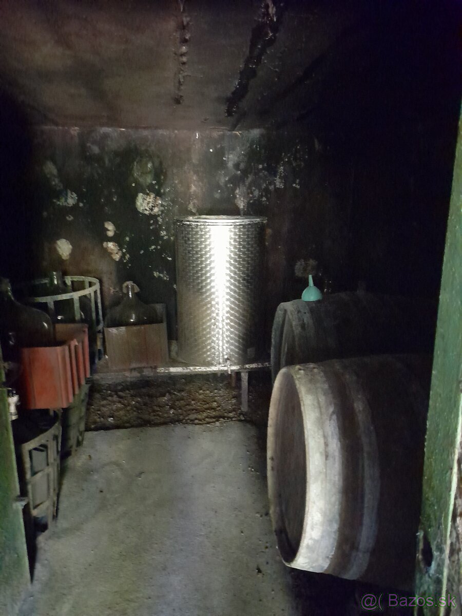 Vinohrad v Tokajskej oblasti - 7